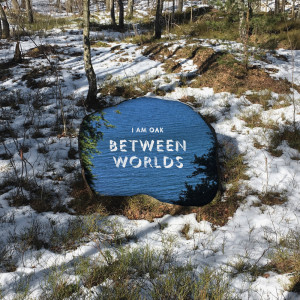 Listen to Between Worlds song with lyrics from I Am Oak