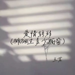 Album 爱情转移(徘徊过多少橱窗) from 王茗