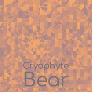 Various Artists的專輯Cryophyte Bear