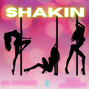 ดาวน์โหลดและฟังเพลง Shakin (Explicit) พร้อมเนื้อเพลงจาก Bic Mitchum