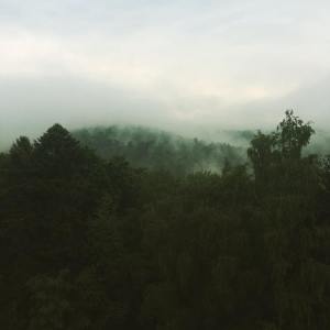 Dengarkan Anxiety Therapy lagu dari Pro Sounds of Nature dengan lirik