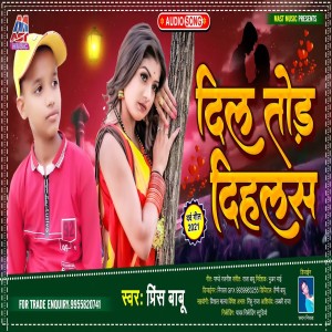 Listen to Dil Tod Dihalas (Bhojpuri) song with lyrics from Prince Babu