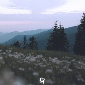 Listen to Blossom song with lyrics from GalaxyTones