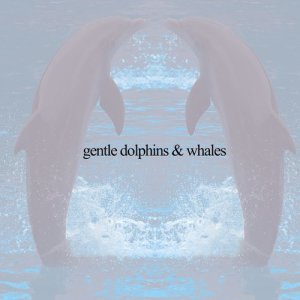 ดาวน์โหลดและฟังเพลง Gentle Dolphins & Whales 32 พร้อมเนื้อเพลงจาก Asian Zen Spa Music Meditation