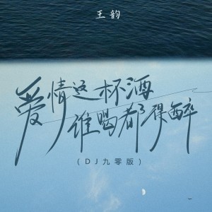 อัลบัม 爱情这杯酒谁喝都得醉(DJ九零版) ศิลปิน 王韵