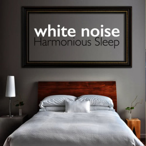 ดาวน์โหลดและฟังเพลง White Noise: Tone พร้อมเนื้อเพลงจาก White Noise Baby
