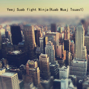 ดาวน์โหลดและฟังเพลง Yeej Suab fight Ninja ( Kuab Muaj Tsuas 1) พร้อมเนื้อเพลงจาก Tinker Bell