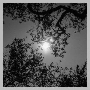 ดาวน์โหลดและฟังเพลง Memories of Summer พร้อมเนื้อเพลงจาก Yusuke Tsutsumi