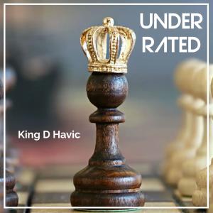King D Havic的專輯Under Rated (Explicit)