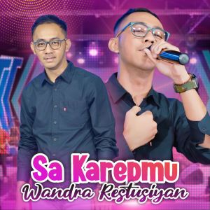 Dengarkan Sa Karepmu lagu dari Wandra Restusiyan dengan lirik