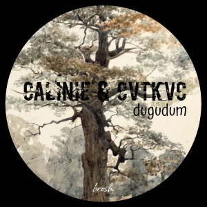 收聽CAlinie的Dugudum歌詞歌曲