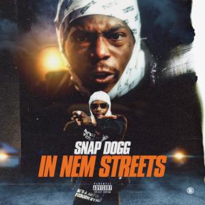 อัลบัม In Nem Streets (Explicit) ศิลปิน Snap Dogg