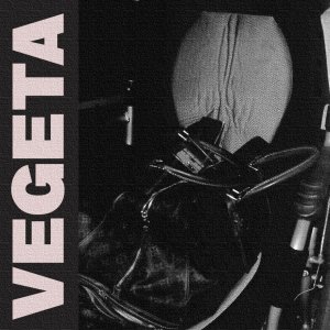 Listen to Vegeta (Explicit) song with lyrics from Tarrzankota