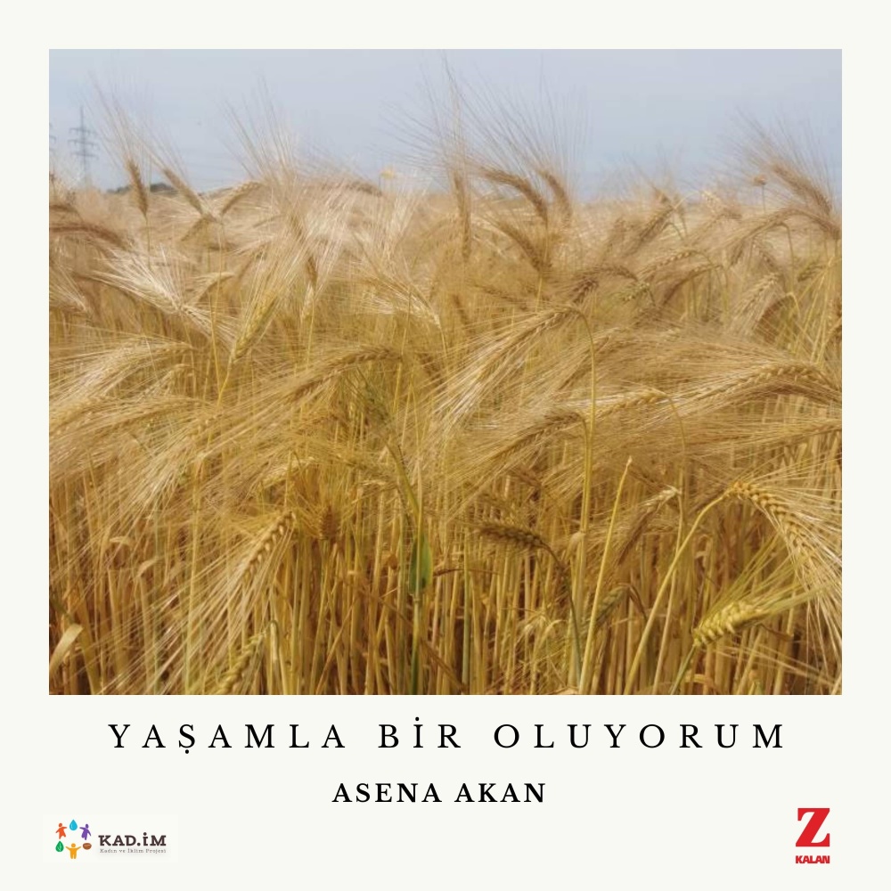 Yaşamla Bir Oluyorum