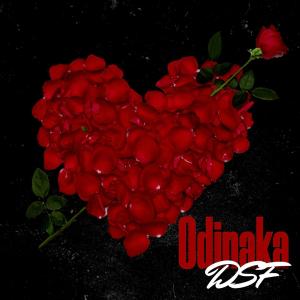 收聽DSF的Odinaka歌詞歌曲