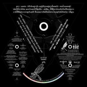 Listen to ปล่อยให้น้ำตามันไหล และตะโกนออกไปให้สุดเสียง song with lyrics from วิมุตติ
