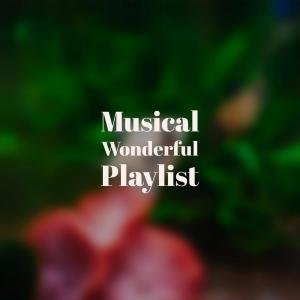Listen to Snowsuit Carousel song with lyrics from Rata Cuchy