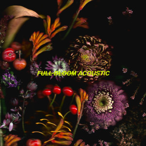 อัลบัม Full Bloom ศิลปิน Alpines