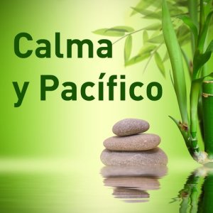 Relaxing Music的專輯Calma y Pacífico