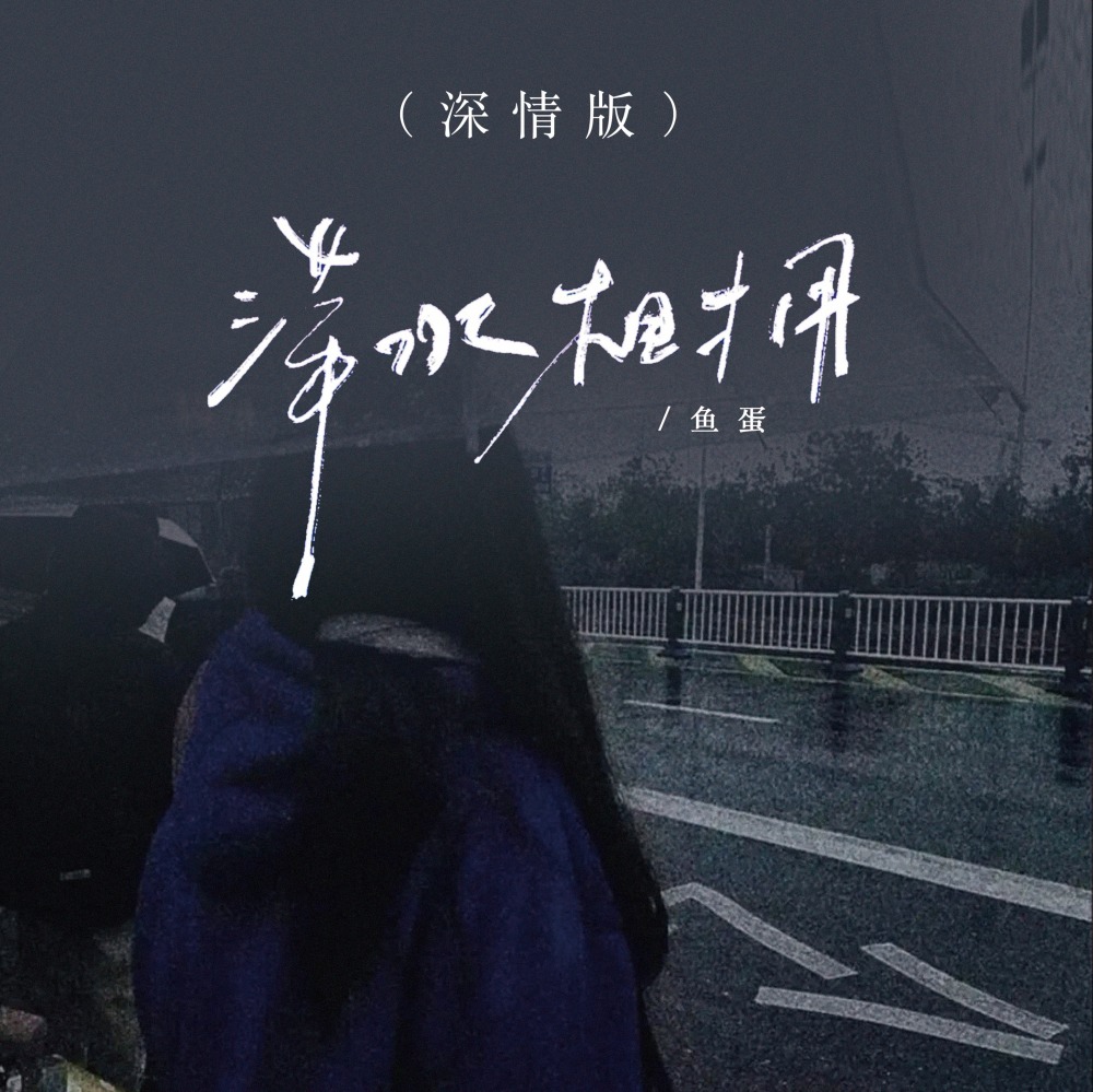 萍水相拥 (DJ版伴奏)