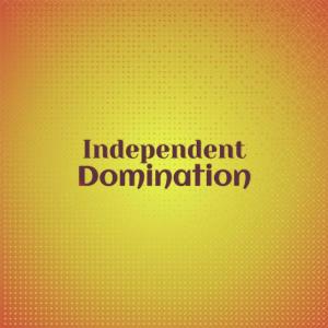 Various Artists的專輯Independent Domination