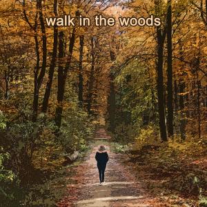 Thelonious Monk Piano Solo的專輯Walk in the Woods