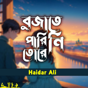 Album Bujate Pari Ni Tore from Haidar Ali
