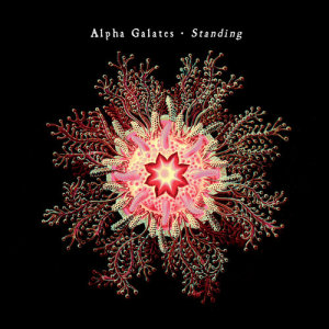ดาวน์โหลดและฟังเพลง Standing (Edit) พร้อมเนื้อเพลงจาก Alpha Galates