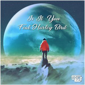 อัลบัม Is It You ศิลปิน Electro-Light
