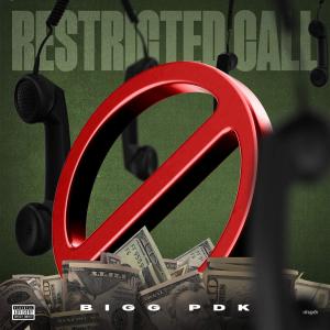 Album Restricted call (Explicit) oleh Bigg pdk