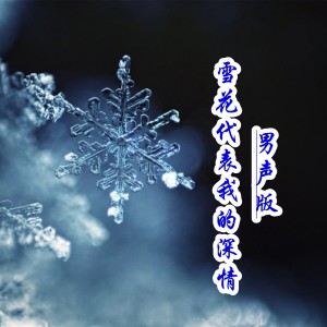 雪花代表我的深情DJ dari 小匠