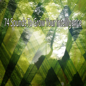 Listen to Rule The Unruly song with lyrics from Asian Zen Spa Music Meditation