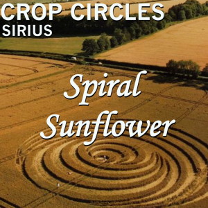 Crop Circles: Spiral Sunflower dari Sirius