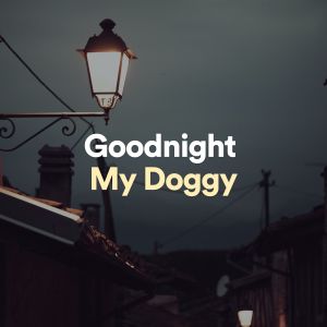 Album Goodnight My Doggy oleh Great Meditation Guru
