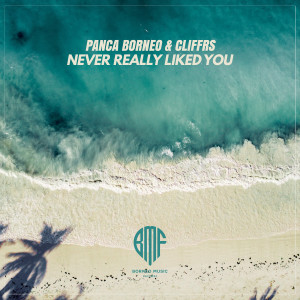 Album Never Really Liked You (Radio Edit) (Explicit) oleh Panca Borneo