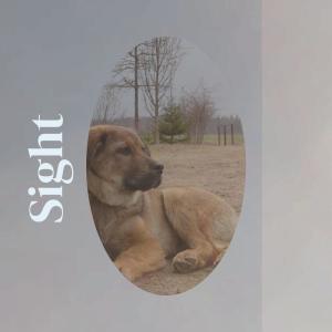 收听Hayd Enen的Odoriferous Avocado歌词歌曲