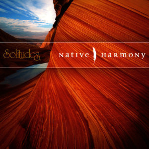 ดาวน์โหลดและฟังเพลง Light the Fire พร้อมเนื้อเพลงจาก Dan Gibson's Solitudes