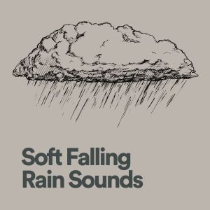 ดาวน์โหลดและฟังเพลง Newly Rain พร้อมเนื้อเพลงจาก Nature Sounds