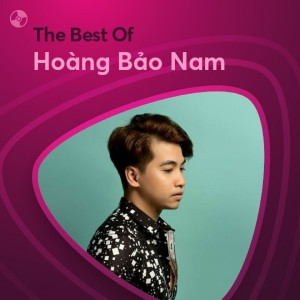 Album Hoàng Bảo Nam Best Collection oleh Hoàng Bảo Nam
