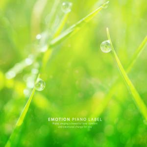 Album Music Of Clear Melody For Happy Preacher (Preacher Piano) from Various Artists