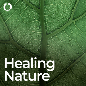 Healing Power Natural Sounds Oasis的專輯Healing Nature Solfeggio Frequencies