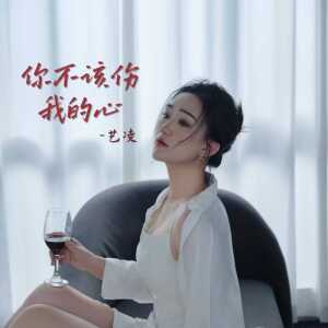 Album 你不该伤我的心 from 小小杨玉莹