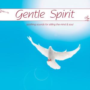 收聽Mike Vickerage的Spirit Flight歌詞歌曲