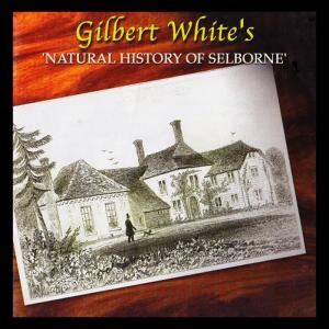 ดาวน์โหลดและฟังเพลง To The Hon Daines Barrington - Letter 7 - Scopoli, Observations, 'The Sussex Coast' พร้อมเนื้อเพลงจาก Gilbert White