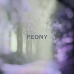 Nineteen Essences的专辑Peony EP