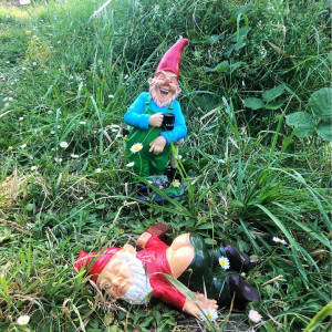 Album The Drunken Gnome Requiem from Mr Jardin