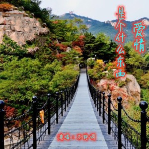 收聽不跑調的愛情是個什麼東西歌詞歌曲