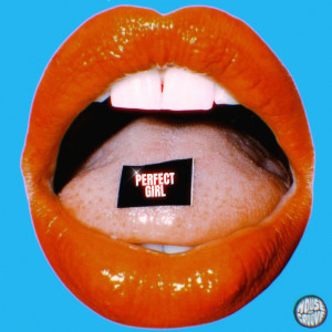 Album Perfect Girl from ZAV