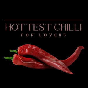 Dengarkan Lounge Chill Out Song lagu dari Erotic Zone of Sexual Chillout Music dengan lirik