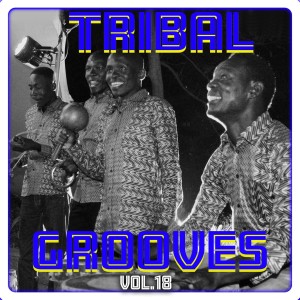 Tribal Grooves Vol. 18